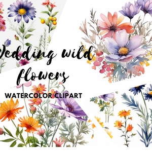 Wild Floral Clipart - Watercolor Wild Flowers - Floral Clipart - Premade Clipart - Wedding Clipart - Spring Clipart - Wild Flowers