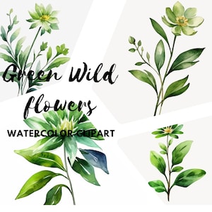Watercolor Greenery Clipart - Greenery Foliage - Greenery Arrangements - Greenery Watercolor - Forest Greenery - Foliage - Instant Download