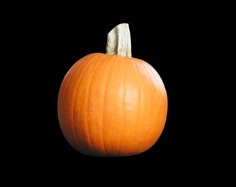 Small Real Carving Pumpkin 5-7" Diameter