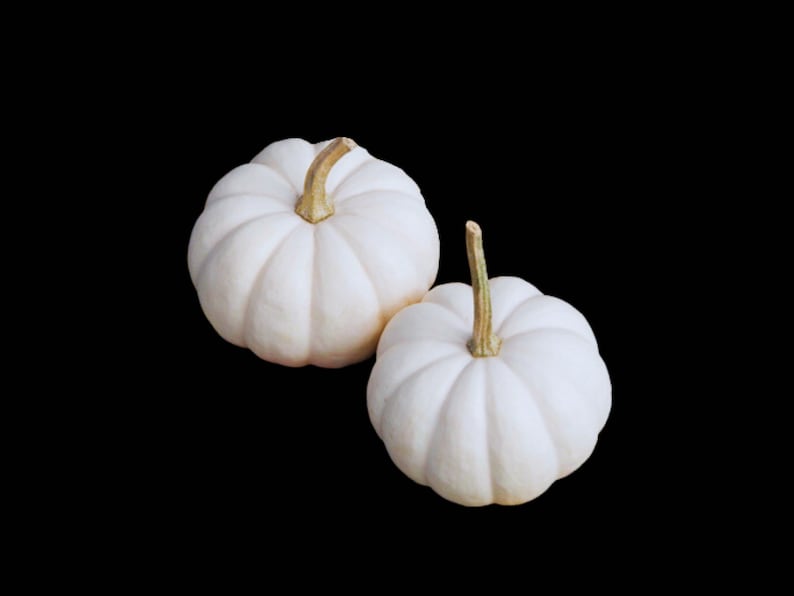 Casperita White Pumpkin image 1