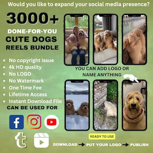 Lot de 3 000 bobines de chiens et chiots mignons pour Tiktok, Instagram, Youtube, Facebook - Courtes bobines de vidéos amusantes sur les animaux de compagnie et les animaux