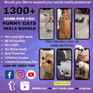 Pacchetto 1300 video di gatti e gattini carini per Tiktok, Instagram, Youtube, Facebook - Video divertenti di animali domestici e animali domestici.