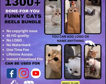 Lot de 1 300 rouleaux de vidéos de chats et de chatons mignons pour Tiktok, Instagram, Youtube, Facebook - Courtes bobines de vidéos amusantes sur les animaux de compagnie et les animaux