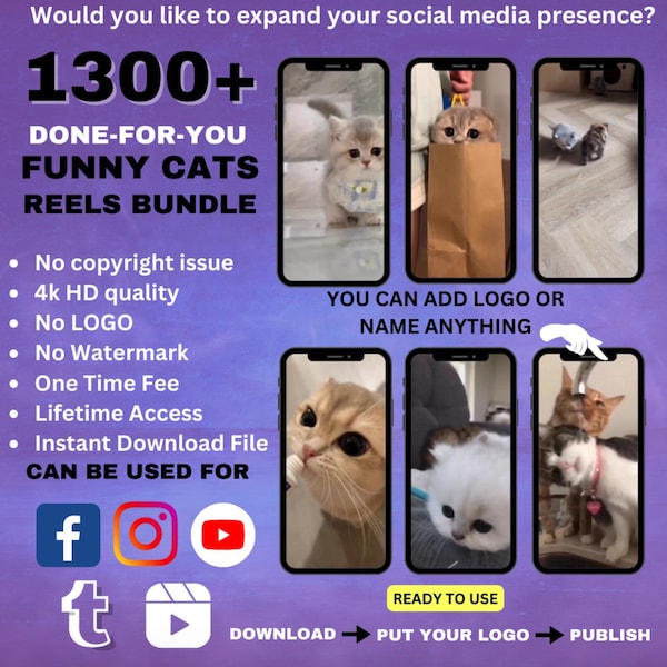 Lot de 1 300 rouleaux de vidéos de chats et de chatons mignons pour Tiktok, Instagram, Youtube, Facebook - Courtes bobines de vidéos amusantes sur les animaux de compagnie et les animaux