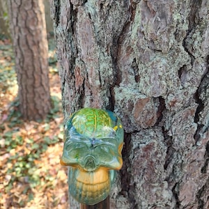 May include: A skull-shaped walking stick topper with a clear, green, and yellow resin design. The skull has a detailed brain design inside. The walking stick is made of dark brown wood. The background features tree bark and foliage.