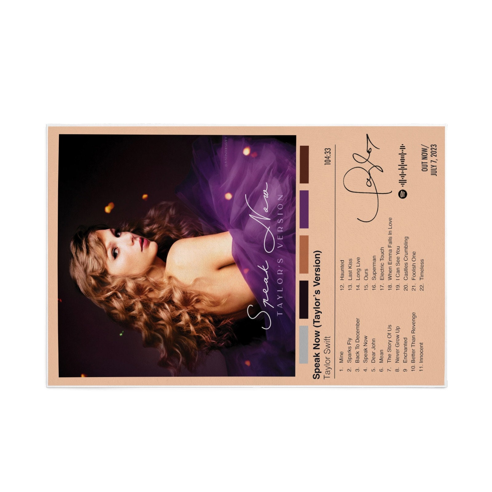 Discover Taylor Speak Now Album Rug