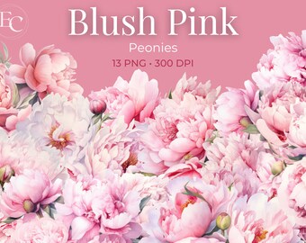 Blush Pink Peonies Watercolor Clipart, Floral PNG (digital Download) - Etsy