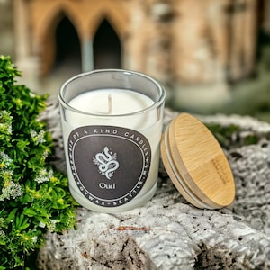 Slytherin Inspired Candle - Handmade with Soy Wax - Oud Scented (Potter Candle, Wizard Candle, Snake Themed)