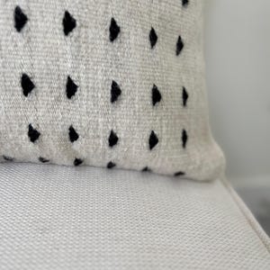 Zapotec Textile Dots | Washable Pillow Case image 3