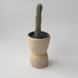 May include: A tall, green cactus with sharp spines in a beige, hourglass-shaped pot. The pot has a black interior and sits on a white surface. The cactus is a vibrant green color.