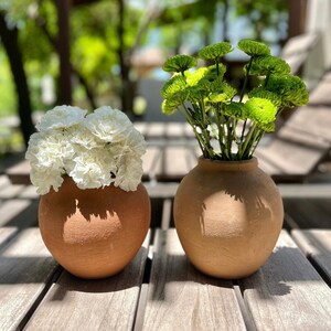 May include: Two terracotta pots, one with white carnations and the other with green flowers. The pots are sitting on a wooden surface.