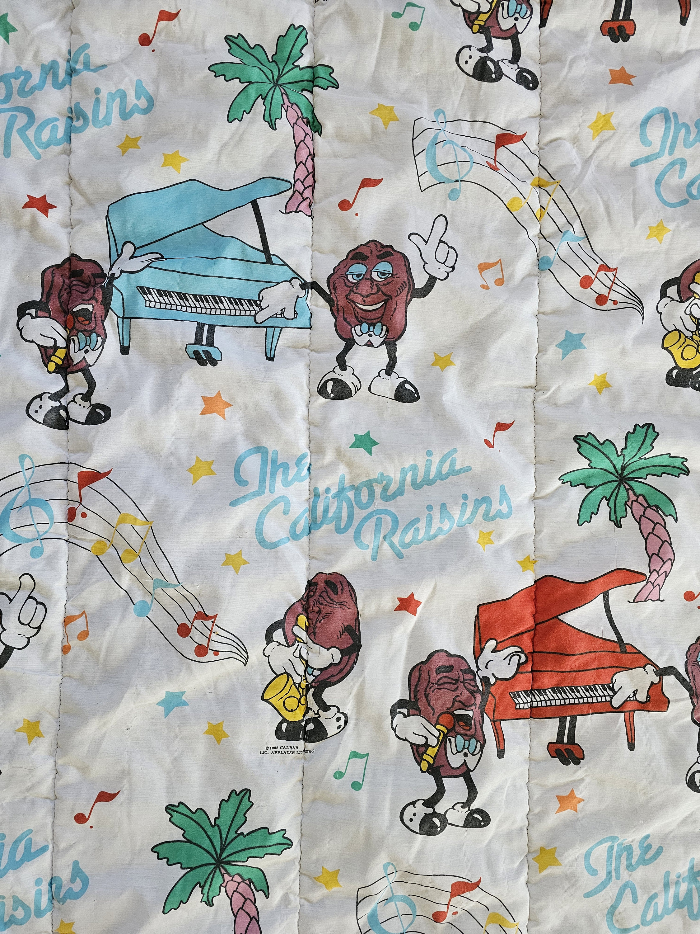 Vintage 1987 The California Raisins Youth Sleeping Bag