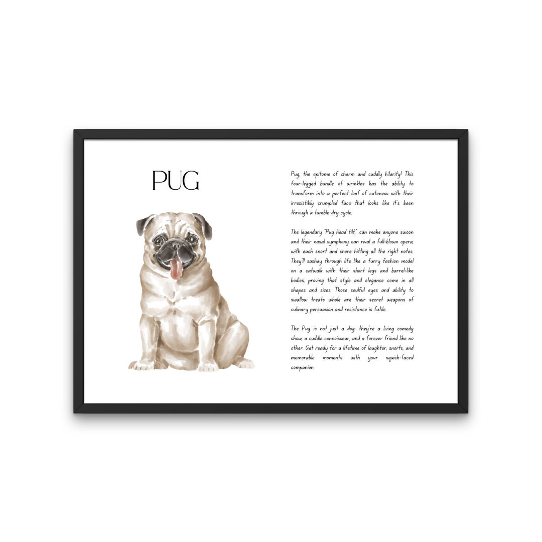 Mops, Mops lustig Definition Print, digitaler Download, Mops, Mops