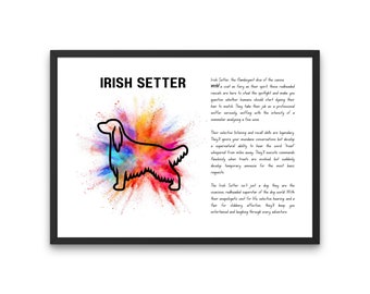 Irish Setter, Irish Setter Funny Definition Print, Digital Download, Irish Setters, Irish Setter Gift, Red Setter, Irish Setter Dog