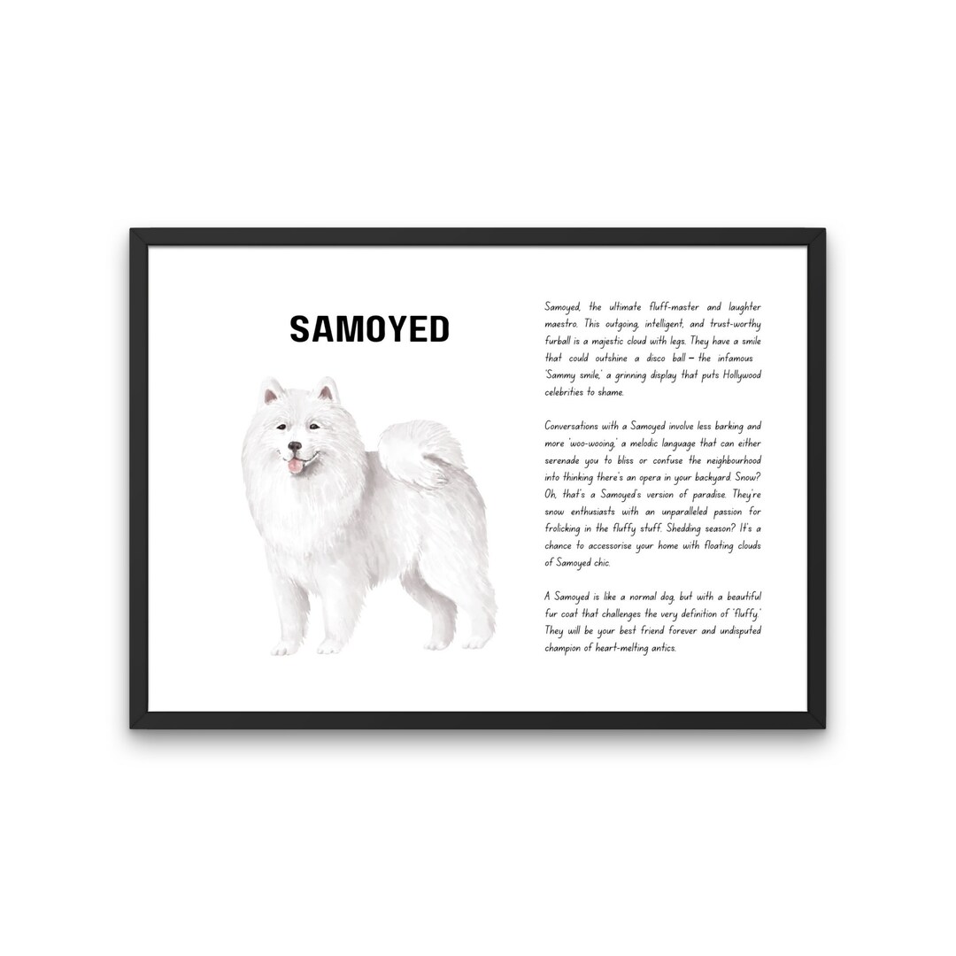 Samoyed, Samoyed Funny Definition Print, Samoyed Dog, Sammy, Sled Dog
