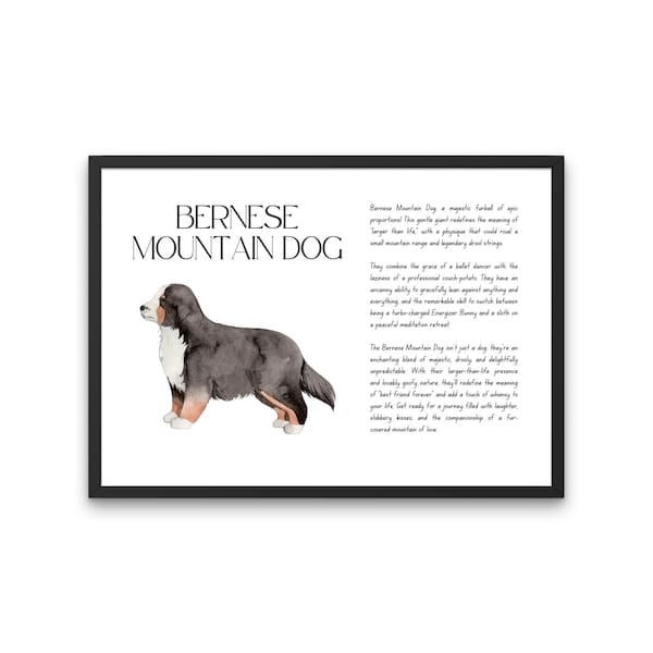 Bernese Mountain Dog Funny Definition Print, Dog Definition Print,  Dog Dad Gift, Dog Mom Gift, Gift for Dog Lovers, Dog Mum Gift, Bernese