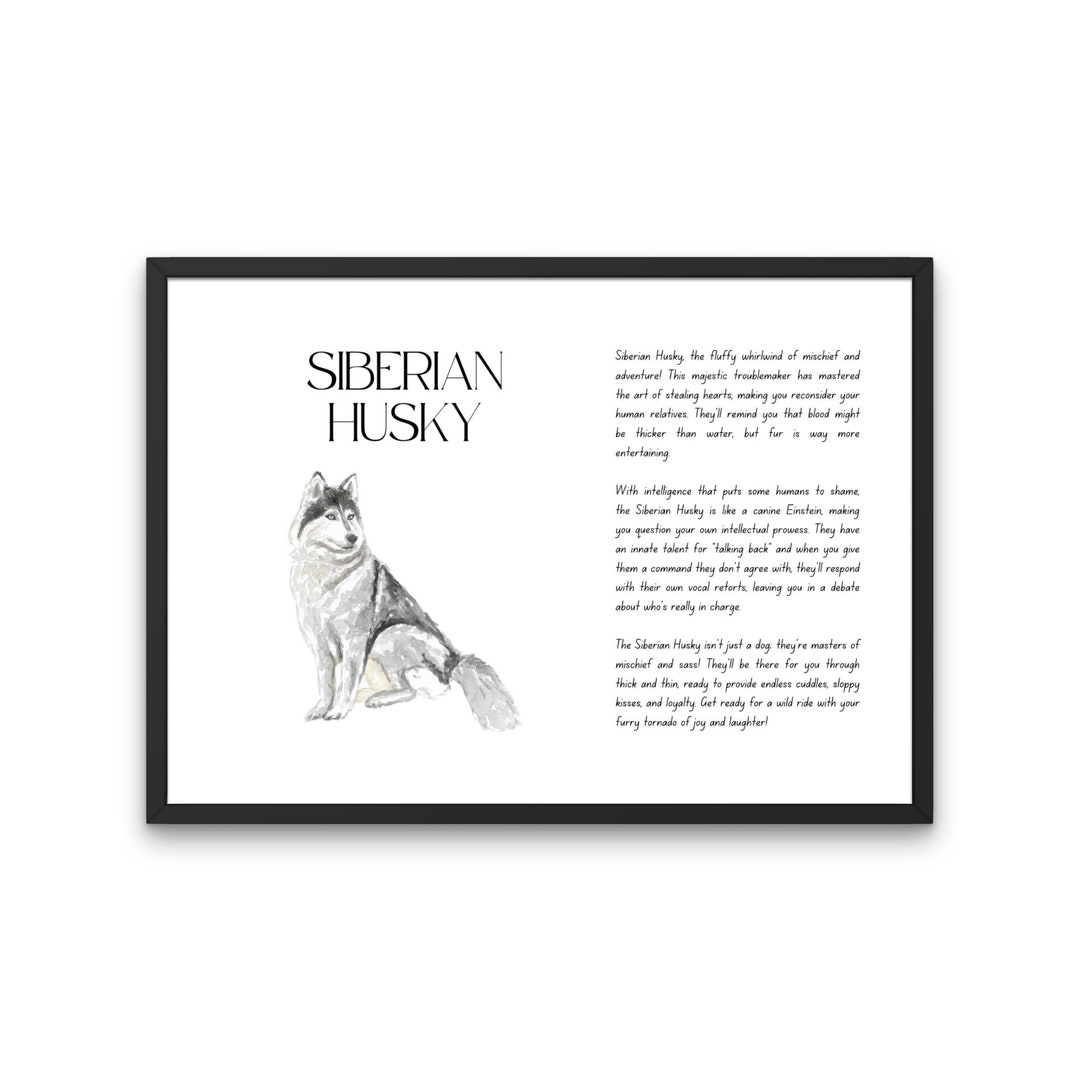 Husky, Siberian Husky Lustige Definition Print, Siberian Husky, Huskies