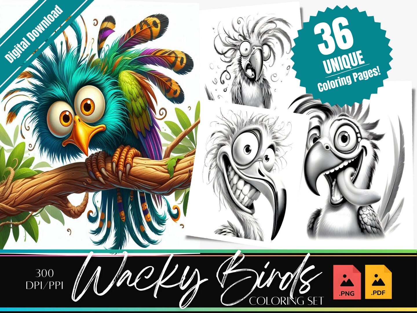 3 Wacky Birds adult coloring book | Digital download | PDF Download | Grayscale coloring | Tropical Birds | Funny Printable PDF, PNG art