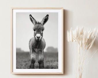 Baby ezel zwart-wit canvas kunst rustieke boerderij muur decor ingelijste dierenprint woonkamer teken land stijl huis kunst