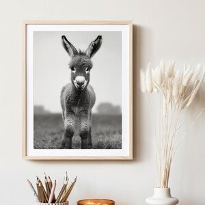 Baby Donkey Monochrome Canvas Art Rustic Farmhouse Wall Decor Framed Animal Print Living Room Sign Country Style Home Art