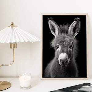 Baby Donkey Poster, Black White Donkey Printable, Nursery Farm Photo Print, Donkey Photo Print, Monochrome Donkey Art, Farm Animal Photo