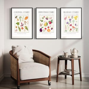 Welshe afdrukken | Welsh bloemen, fruit en bos set van 4 prints | Digitale bestanden om te downloaden | Prenten Cymraeg