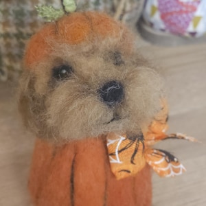 May include: A handcrafted, plush dog figurine wearing an orange pumpkin costume with a green stem and a patterned bow. The dog has brown fur and a black nose, perfect for Halloween or fall decor.