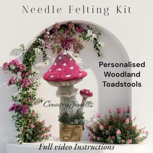 Woodland Toadstool Needle Felting Kit