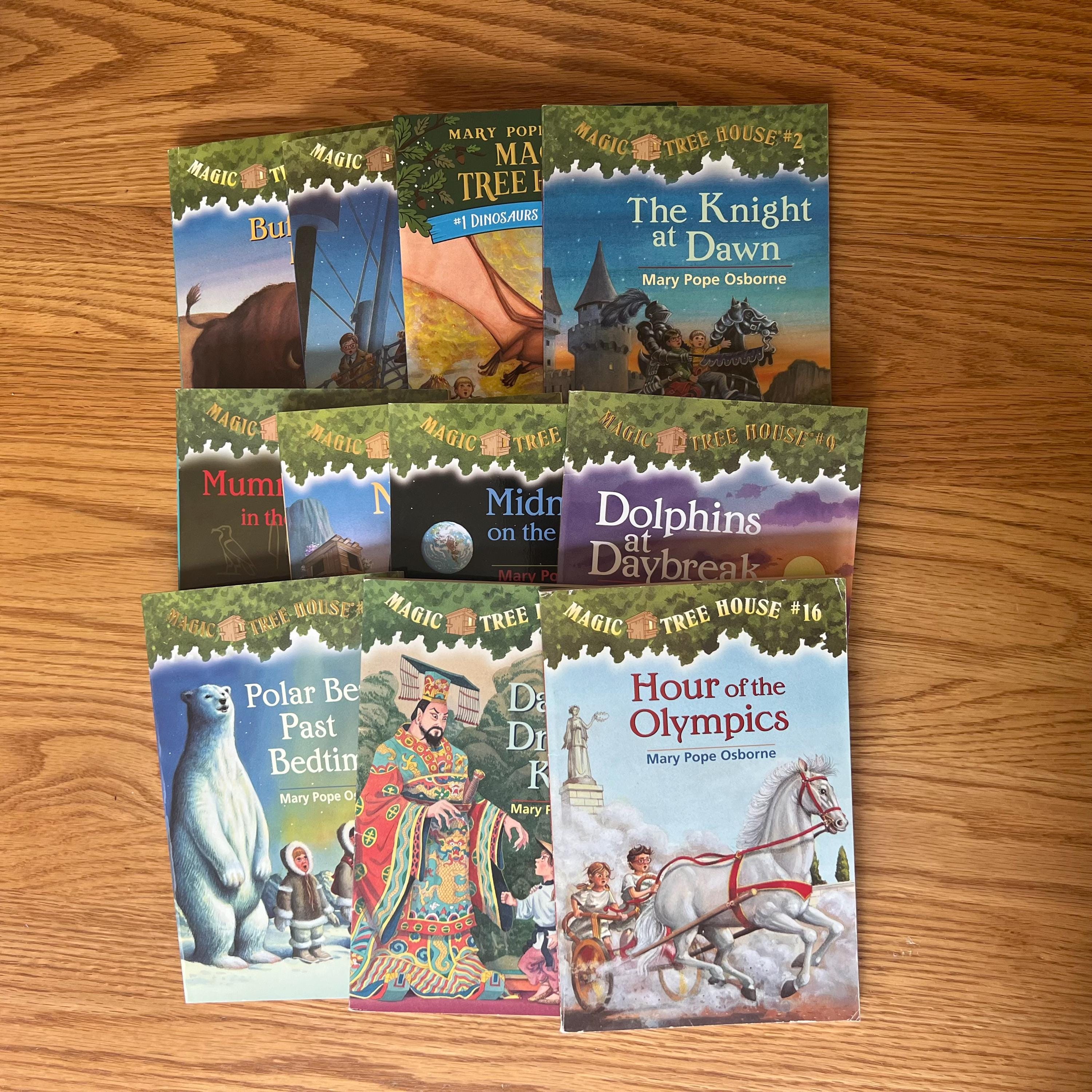 Magic Tree House Book, Merlin Missions | CHOOSE YOUR OWN | Mary