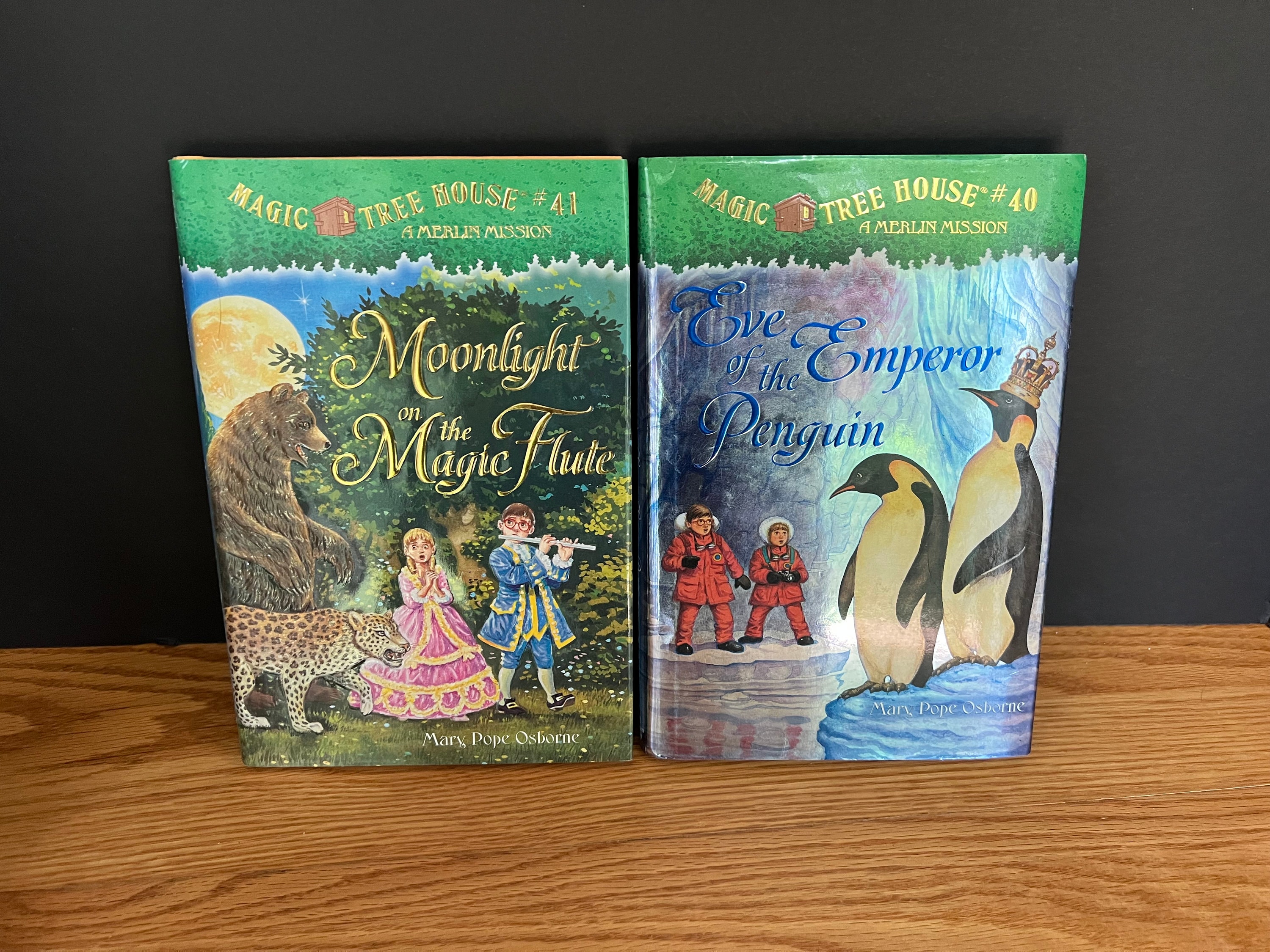Magic Tree House Book | CHOOSE YOUR OWN | Mary Pope Osborne