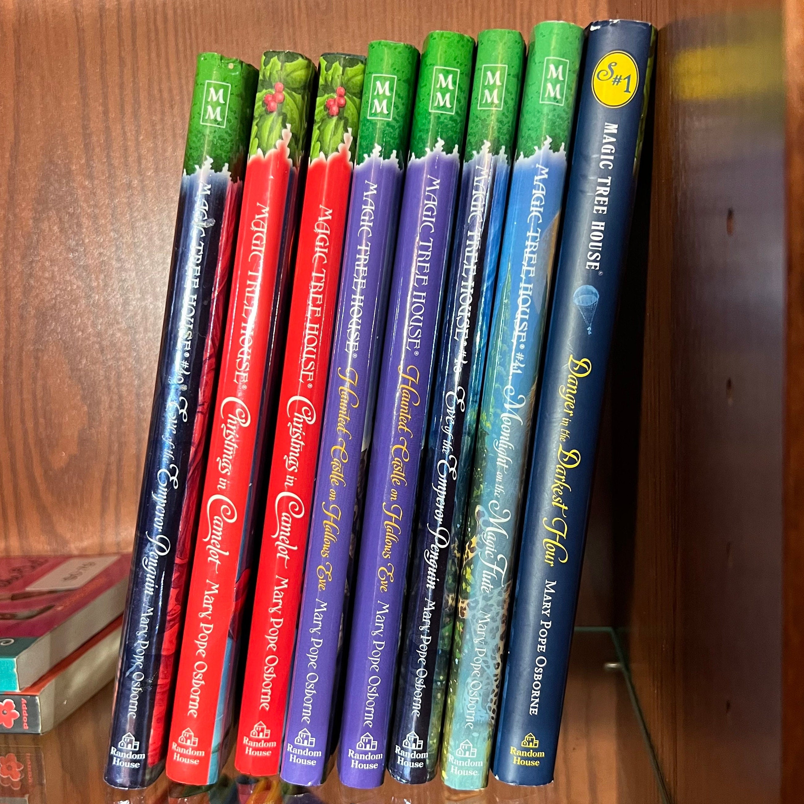 Magic Tree House Book | CHOOSE YOUR OWN | Mary Pope Osborne