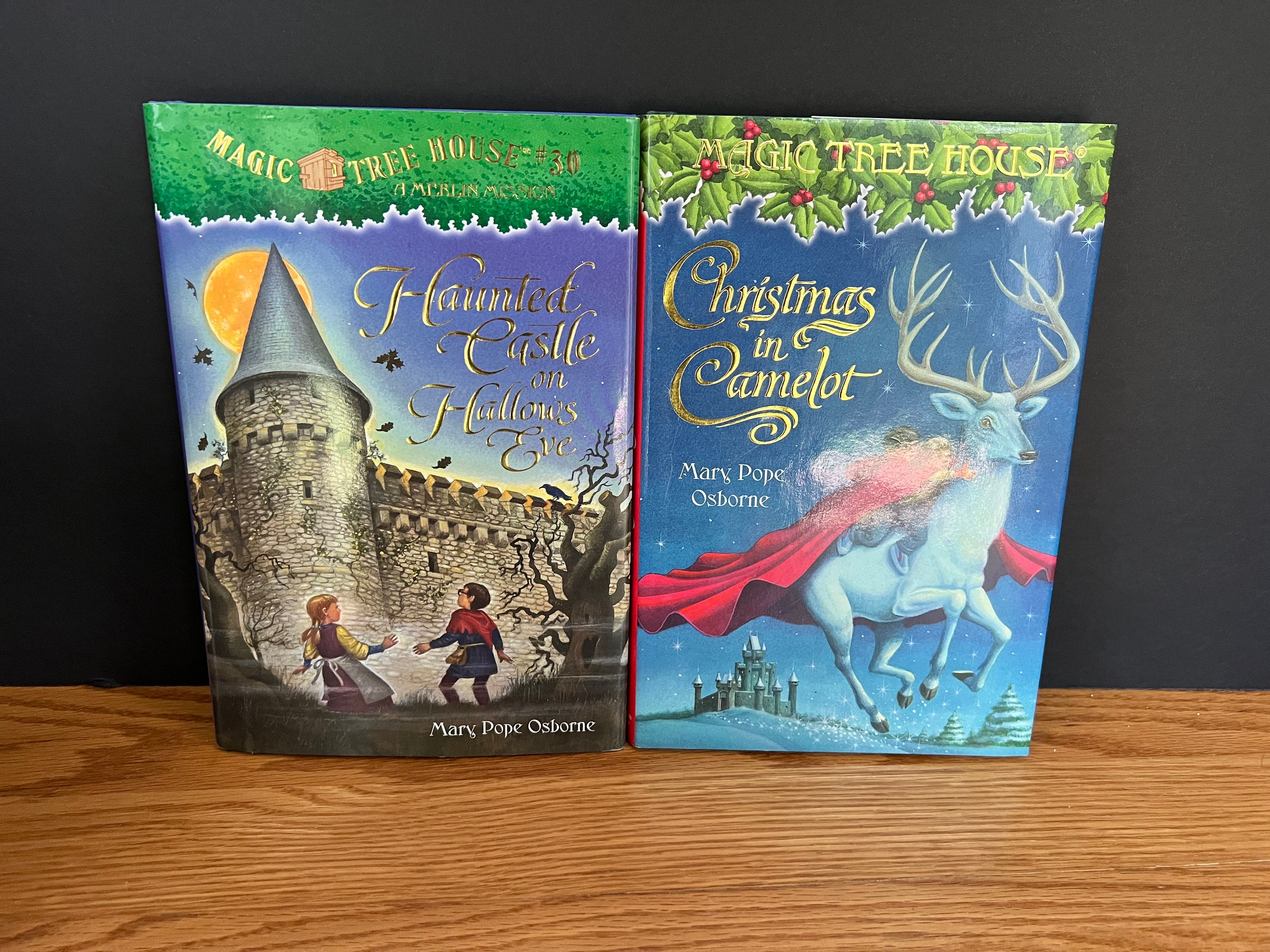 Magic Tree House Book | CHOOSE YOUR OWN | Mary Pope Osborne