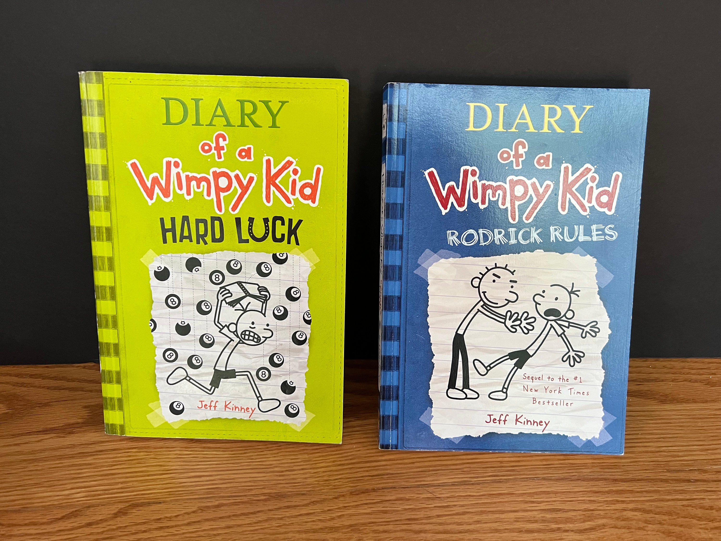 Diary Of A Wimpy Kid Hard Luck Movie Poster