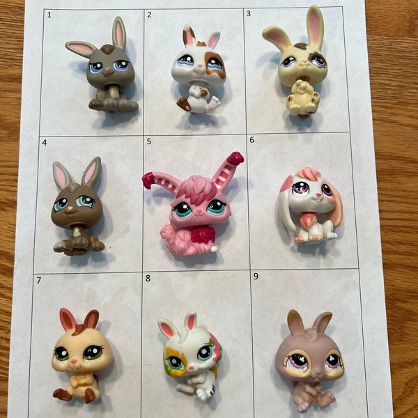 Hasbro Littlest Pet Shop Bunny Rabbits, Your Choice Authentic LPS