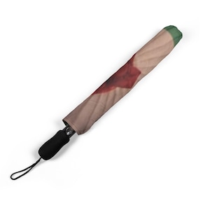 May include: A closed umbrella with a beige and red pattern, a black handle, and a green tip. The umbrella is angled diagonally against a white background. The handle has a black wrist strap.