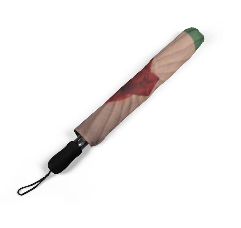 May include: A closed umbrella with a beige and red pattern, a black handle, and a green tip. The umbrella is angled diagonally against a white background. The handle has a black wrist strap.