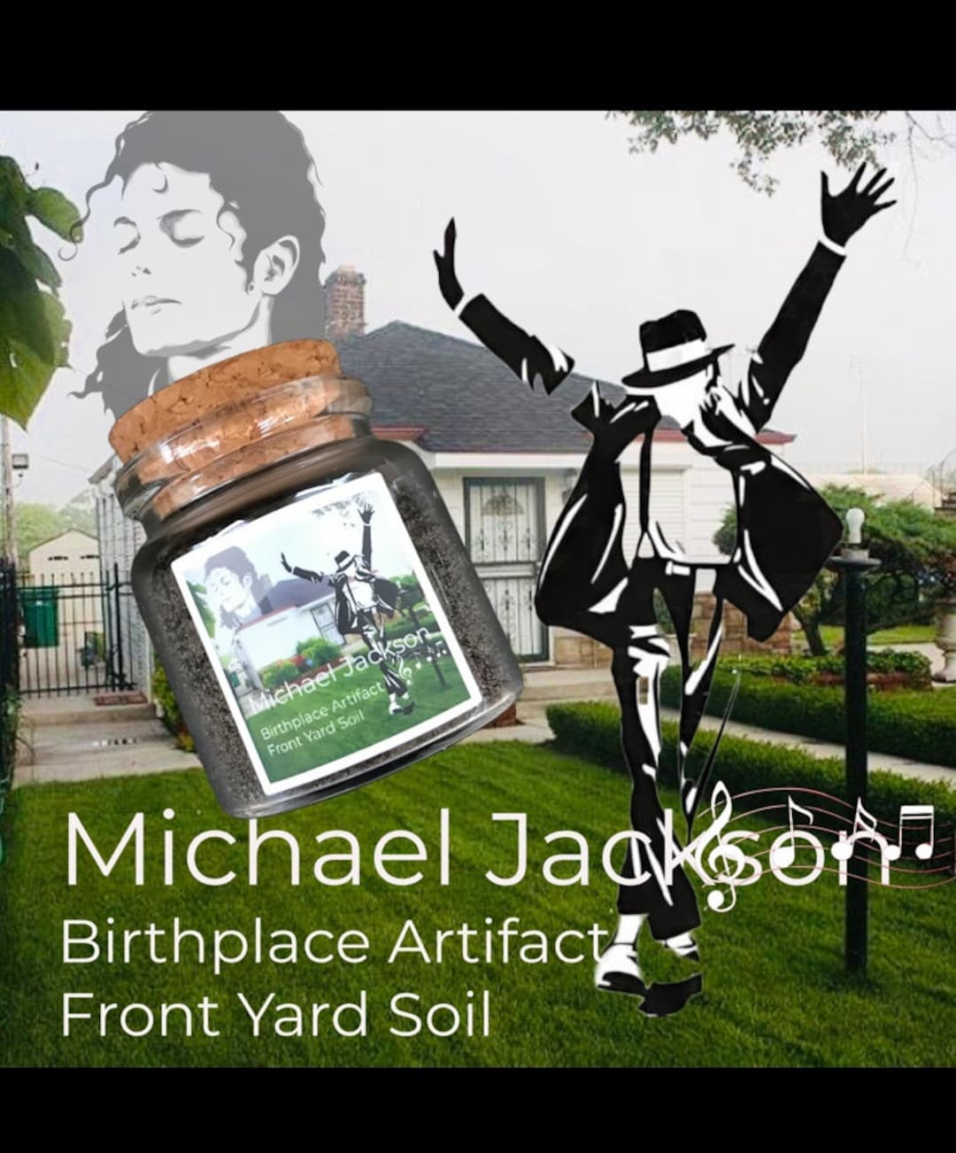 Michael Jackson Birthplace Relic Collectible Artifact Etsy