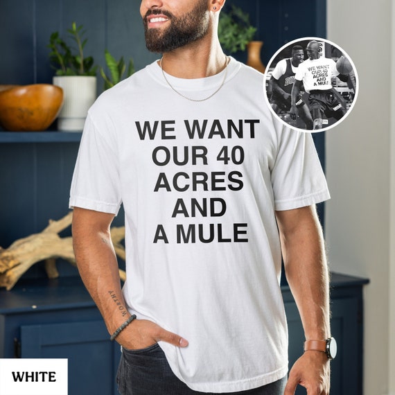 Comfort Colors® We Want Our 40 Acres and A Mule Unisex T-Shirt, Michael Jordan, Spike Lee, Black History, African American, End Slavery