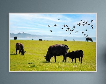 Coastal Farmland art print | canvas, metal, photo paper