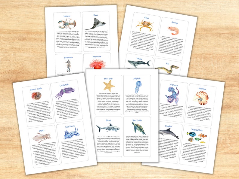 Ocean Animals Unit Study: Sea Creature Activity Pack (PDF) - Etsy