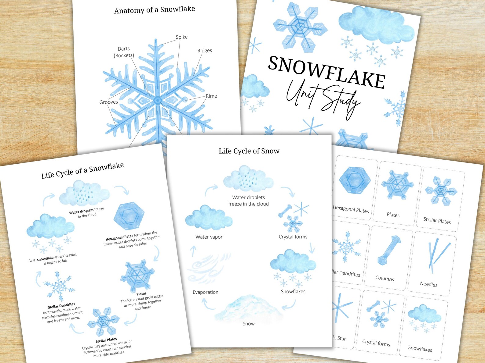 Snowflake Unit Study: Homeschool Activity Sheets (printable) - Etsy