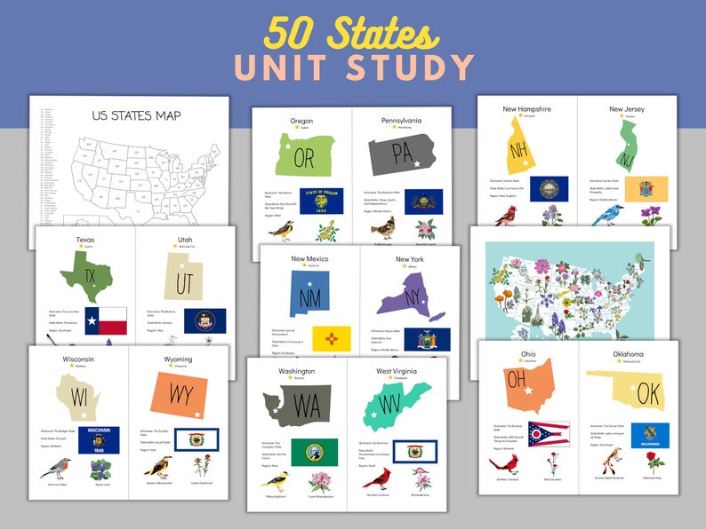 May include: A colorful printable worksheet for learning about the 50 states of the United States. The worksheet includes a blank map of the US, state outlines, state flags, and state birds. The worksheet is titled "50 States Unit Study".