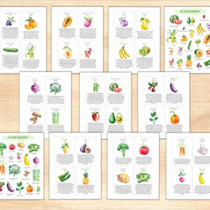 May include: A set of 24 watercolor illustrations of fruits and vegetables with their names and descriptions. The illustrations are arranged in a grid on a light wood background. The illustrations are in a variety of colors, including red, green, yellow, orange, purple, and brown.