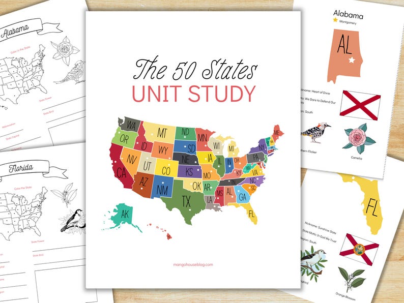 50 States Unit Study: US Geography, State Maps & Flashcards (PDF) - Etsy