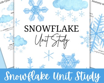 Snowflake Unit Study, Homeschool Worksheets, Snowflake Activity Sheets, Life Cycle of a Snowflake, Life Cycle of Snow, Homeschool Printables