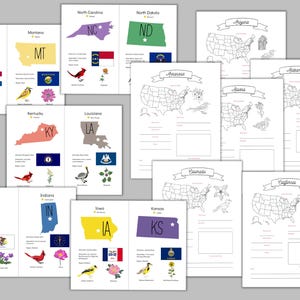 50 States Unit Study: US Geography, State Maps & Flashcards (PDF) - Etsy