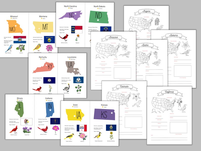 May include: A set of printable US state coloring pages. Each page features a state outline, state abbreviation, state flag, and state bird or flower. The pages are designed for children to learn about the different states of the United States.