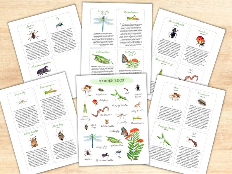 May include: A set of illustrated cards featuring various garden bugs, including a spider, fly, dragonfly, grasshopper, rhinoceros beetle, crane fly, stick bug, potato beetle, ladybug, praying mantis, ant, worm, caterpillar, and butterfly. The cards are printed on white paper with green text and are arranged in a grid pattern.