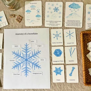 Schneeflocke Einheitsstudie, Hausschularbeitsblätter, Schneeflocke Aktivitätsblätter, Lebenszyklus einer Schneeflocke, Lebenszyklus von Schnee, Hausschule Printables
