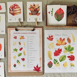 Herbst Einheit Studie, Herbst Hausschule Ausdrucke, Herbst Aktivitätsseiten, Lebenszyklus, Herbst Natur Studie, Herbst Laub Herbst Journal